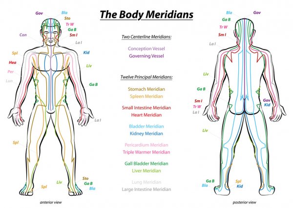 The Major Meridians Danai Wellness